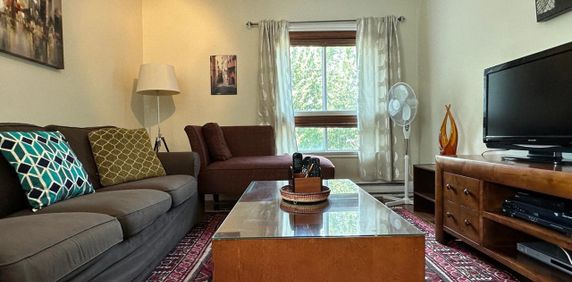 Appartement Montréal (Le Plateau-Mont-Royal) � Louer - Photo 2