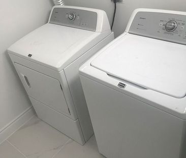 For Lease - 8 Stillwater Crescent Unit# Basement, Hamilton, Ontario - Photo 3