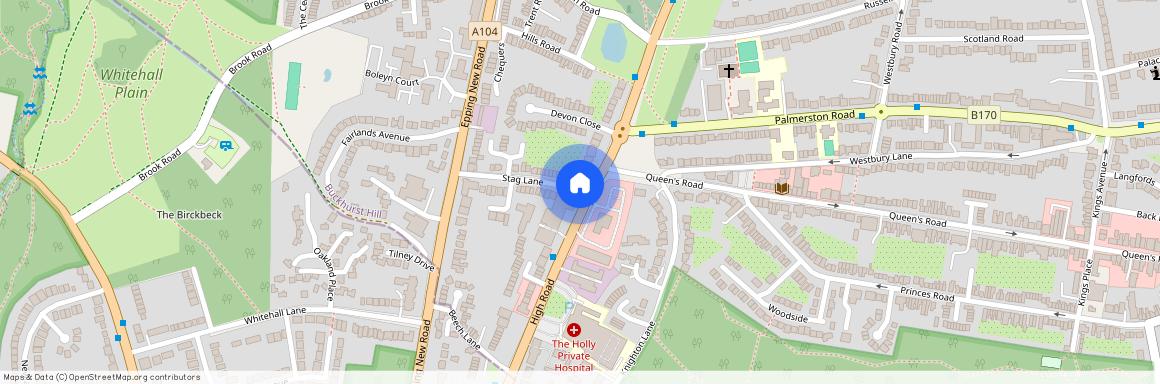 46 High Road, Buckhurst Hill IG9