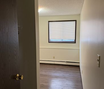 Large 2 Bedroom Unit in the Pines! - Photo 5