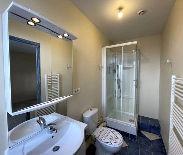 APPARTEMENT A LOUER - Photo 4