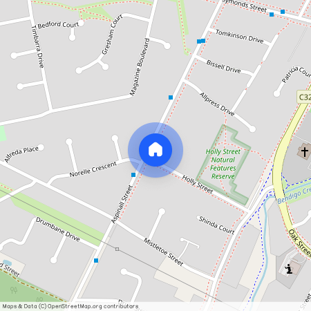 24 Holly Street, Vic 3555, Golden Square