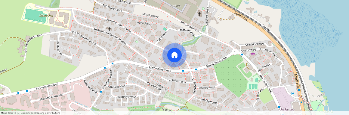 Johannes-Hirt-Strasse 5, 8804 Wädenswil-Au