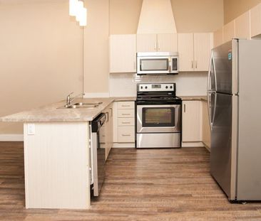 149 Main Street West apartment — Hamilton, ON (1-Bedroom) - 1 Bedroom - Photo 3