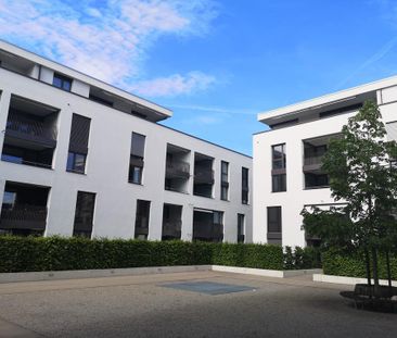 MITTENDRIN STATT NUR DABEI - Photo 5