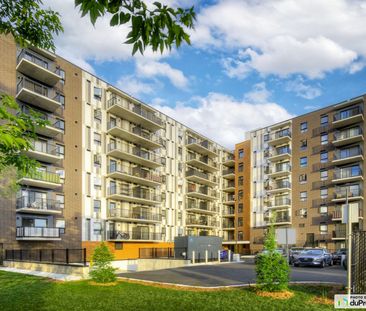 295, boulevard Saint-René Est, Gatineau (Gatineau) à louer - Photo 2