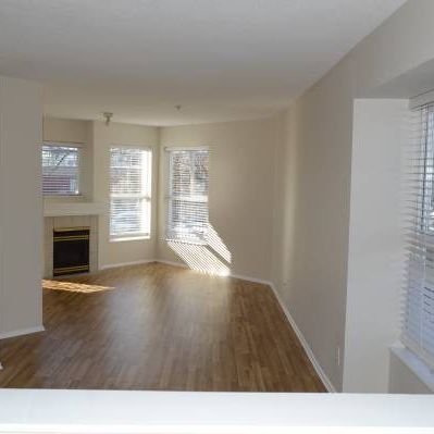 super clean! safe! quiet! two bedroom new floor Maple Ridge - Photo 1