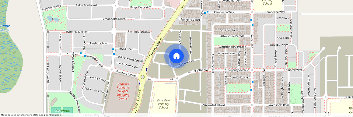 40 Tavistock Street, 6171, Baldivis