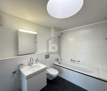 DIRECT LIFT ACCESS WITH LARGE TERRACES - Photo 3