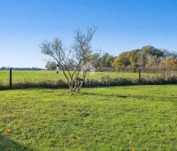 2 bedroom semi-detached house to rent - Photo 1