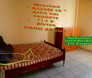 Μονοκατοικία για ενοικίαση Νέα Σάντα (Γαλλικός) - Photo 5