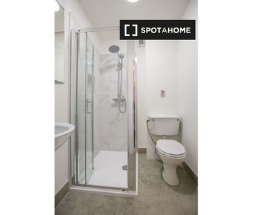 Serviced studio apartment for rent in St Stephen's Green, D2 - Photo 3