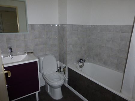 Location Appartement 1 pièce 30m² NANCY 54000 - Photo 5