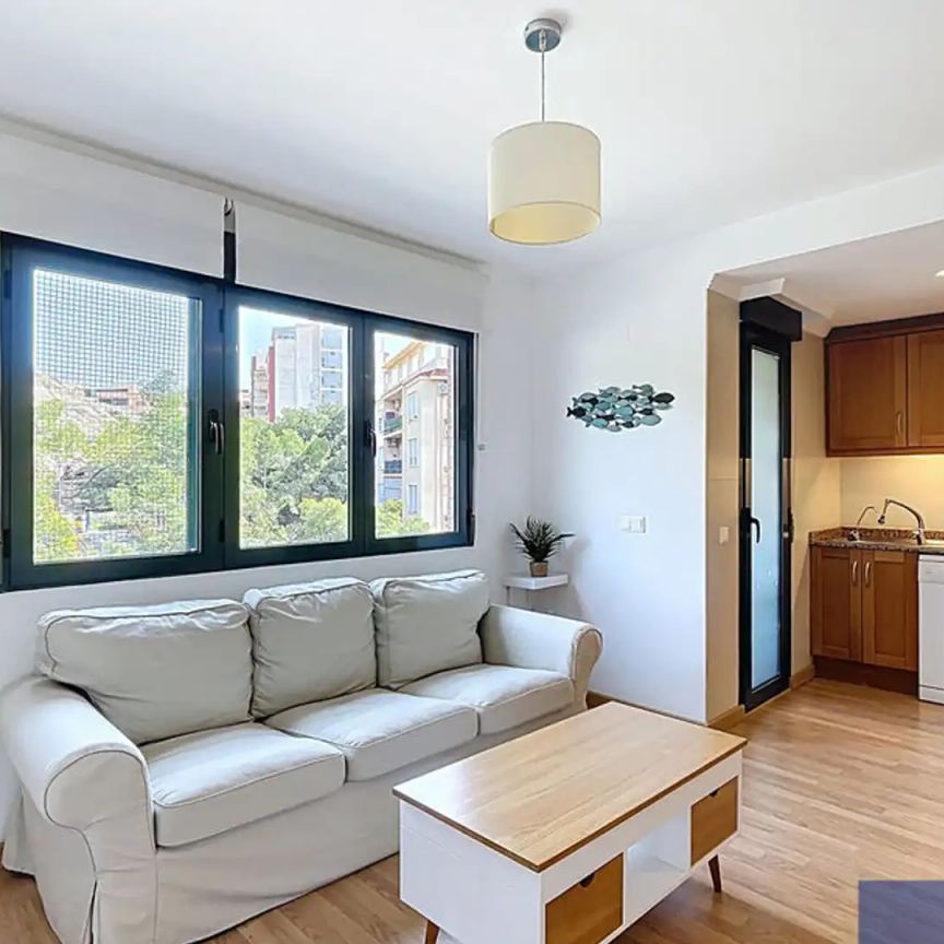 Piso de alquiler en Calle Maestro Barbieri, Mercado - Foto 1