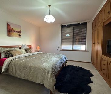 Spacious Homette With A Private Courtyard! - Photo 2