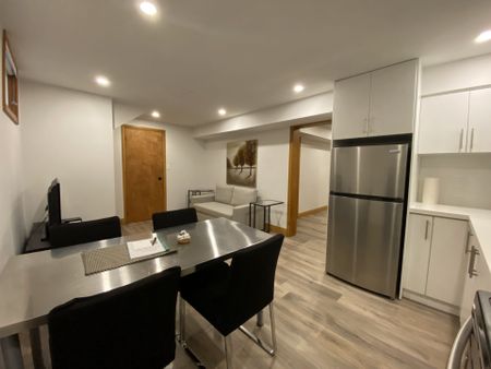 For Lease - 2 Westwood Lane Unit# Bsmt unit, Richmond Hill, Ontario - Photo 3