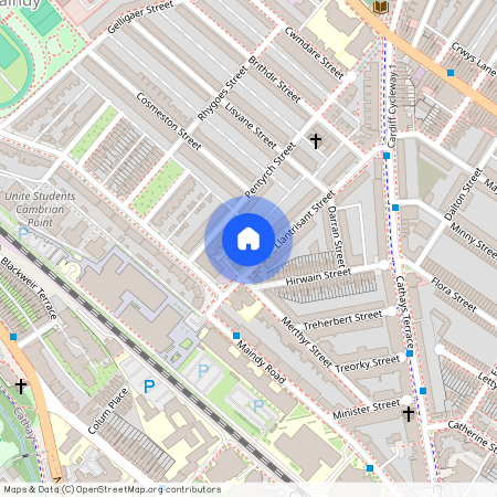 Llantrisant Street, CF24 4JE, Cathays