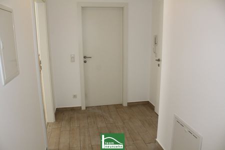 Charmante 1 Zimmer Wohnung! – ab 01.05.2025 beziehbar – U4, U6 Nähe - Photo 4