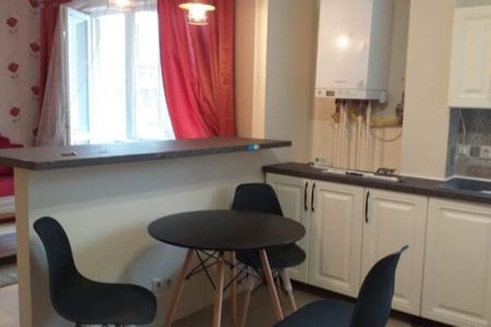 Apartament 2 camere ultracentral , Timis - Fotografie 2