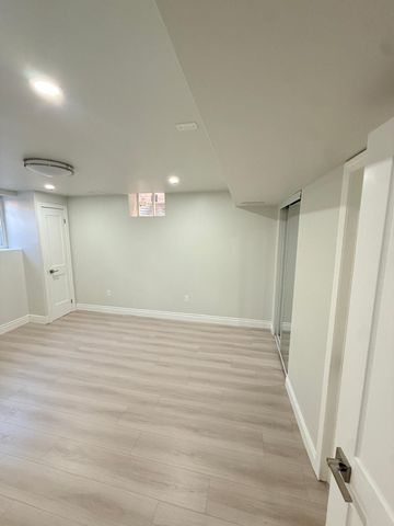 For Lease - 21 Cattail Crescent Unit# Basement, Hamilton, Ontario - Photo 4
