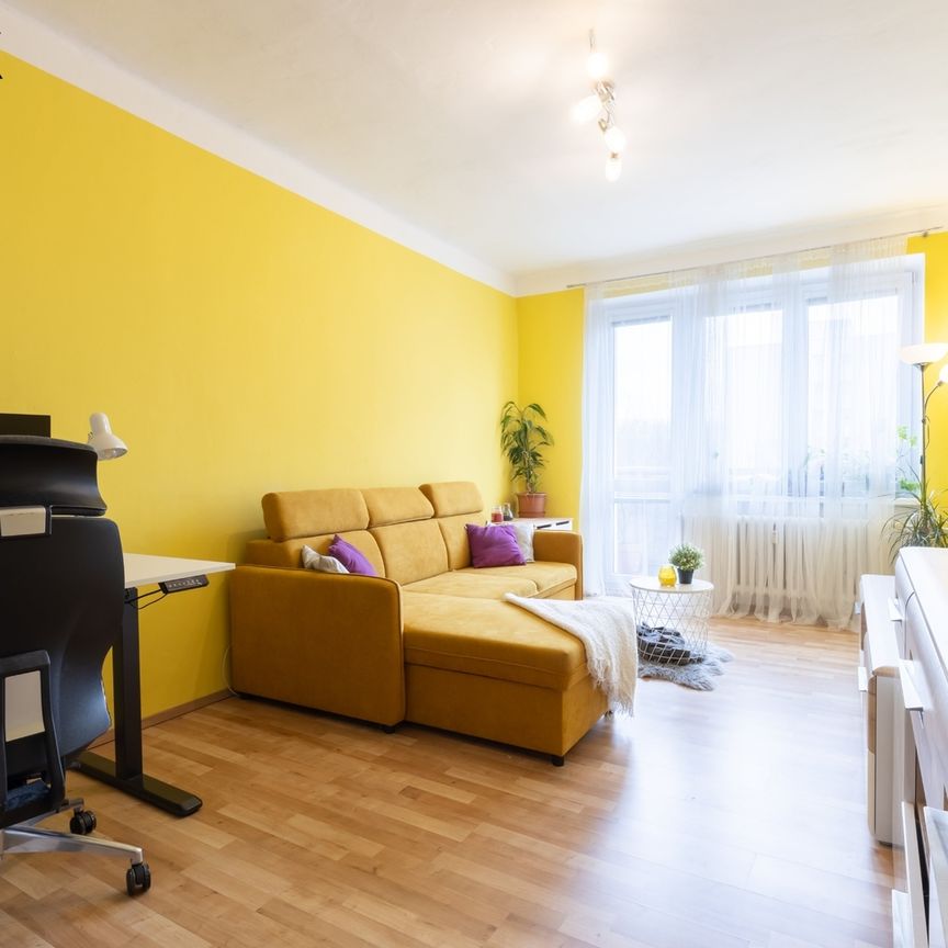 Pronájem bytu 2+1 v osobním vlastnictví 53 m², Praha 3 - Žižkov - Fotografie 1