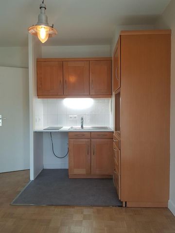 Location Appartement 1 pièce 29m² L HAY LES ROSES 94240 - Photo 2