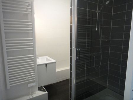 Location Appartement 1 pièce 21m² - Photo 5