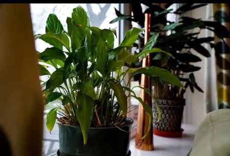 2 Bed Flat, Beaconsfield Close, SE3 - Photo 2