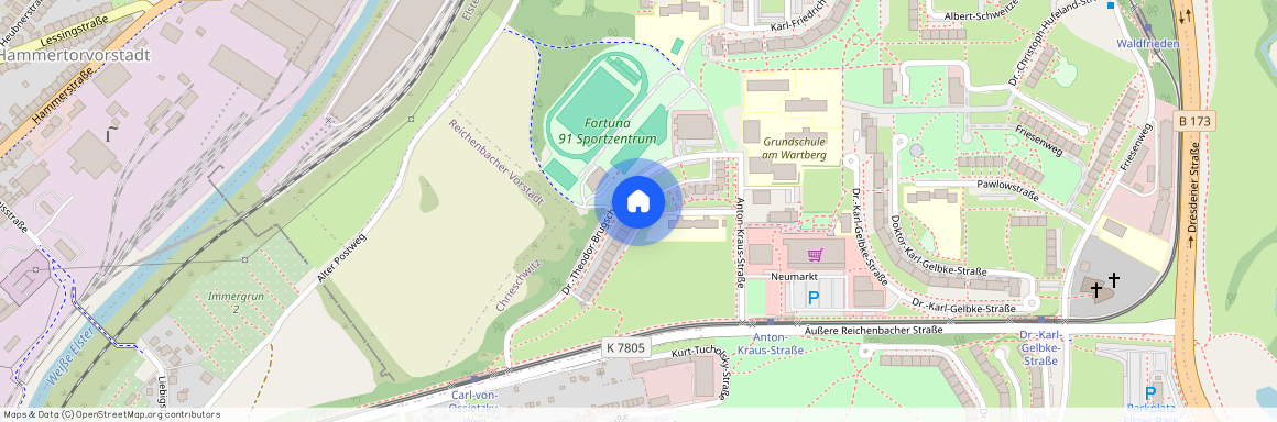 Dr.-Theodor-Brugsch-Straße 36, 08529 Plauen
