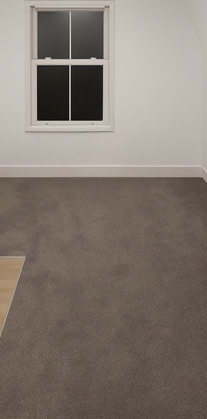 Raveley Street - Photo 1