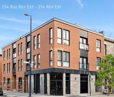 254 Rue Roy Est - 254 Roy Est - Photo 5