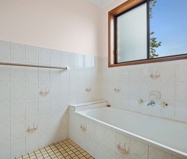 Spacious & Elevated Family Home - Photo 4