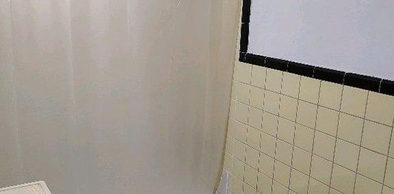 beau 3 1/2 meublé tt inclus métro joliette libre immédiatement - Photo 2