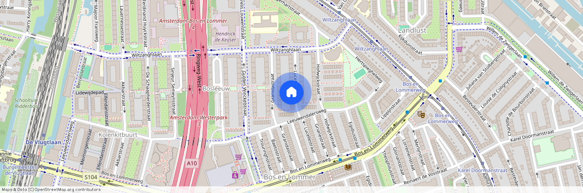 Lucellestraat 11-2, Bosleeuw, 1055HS, Amsterdam