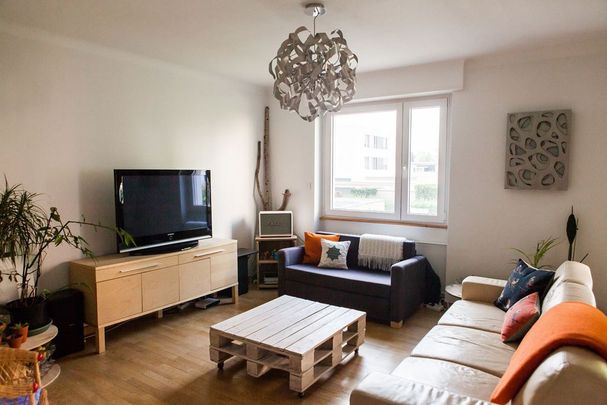 location Appartement 3 pièces à Colmar - REF 5287-RS - Photo 1