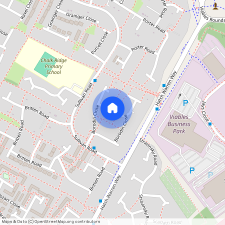 Borodin Close, Basingstoke, RG22