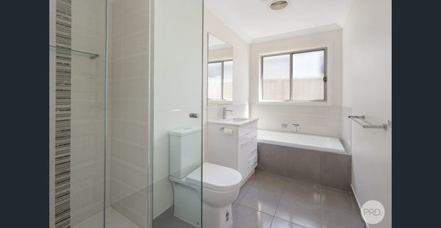 LOW MAINTENANCE LIVING IN THE HEART OF SEBASTOPOL - Photo 1