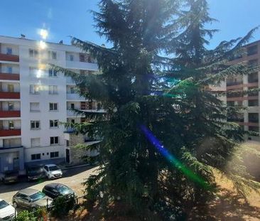 Location Appartement 1 pièce 19m² TOULOUSE 31000 - Photo 3