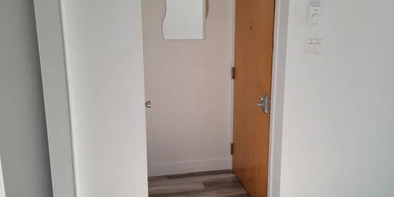 56 Rue Lucien-Brault (Gatineau) Super Appartement 4 1/2 - Photo 3