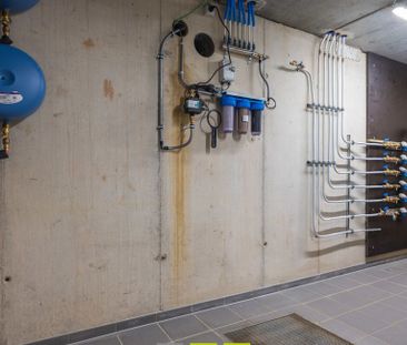 Appartement te huur in Dilsen-Stokkem voor € 965 met 1 slaapkamer - Photo 5