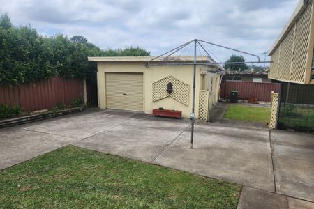 Available 12 December - Photo 4