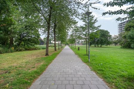 Vignolahof, Rotterdam, Nederland - Photo 3