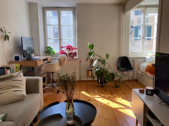 Charming 3-room apartment in the heart of old Carouge - Photo 1