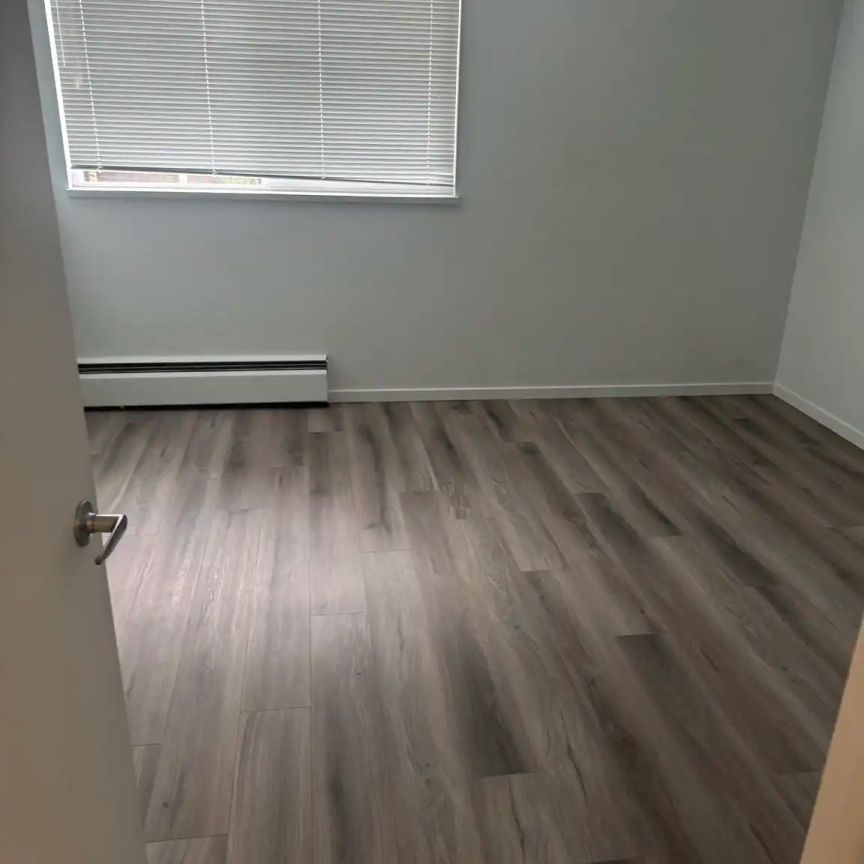 Chestnut Apartments — 206 - Photo 1