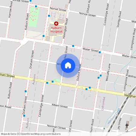 17 Dudley Street, NSW 2141, Lidcombe