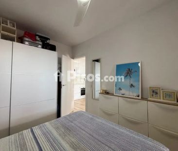 Piso en alquiler en Avenida Catalanet - Photo 5
