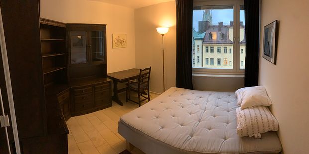 2 room apartment in the city center/Djurgårdsbron - Foto 1