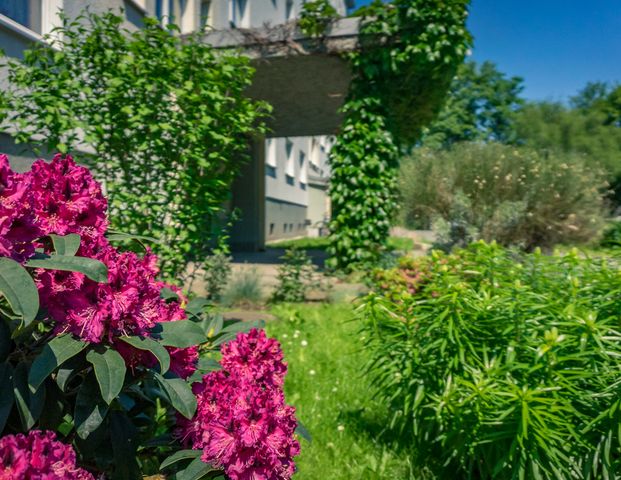 2-Raum-Wohnung - Foto 1