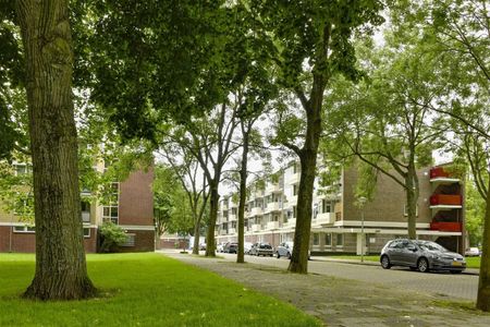 Dikninge 99, Buitenveldert-Oost-Midden, 1083VA, Amsterdam - Photo 3