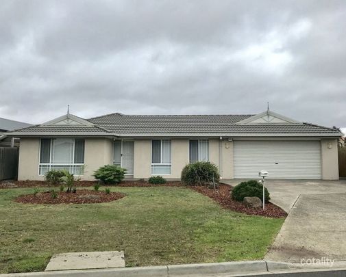 Spacious Family Living in a Prime Location! - Photo 1